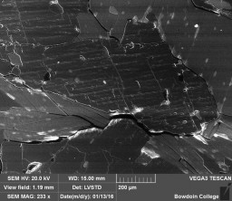 This SEM image of the same kyanite grain was collected with the secondary electron detector, used to look at topography or objects in three-dimensions