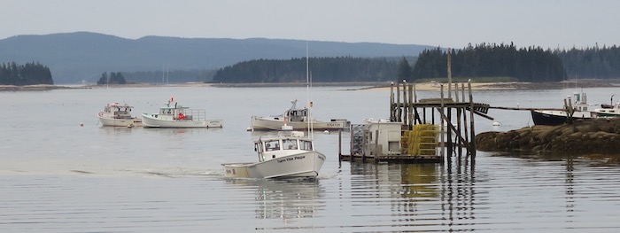 maine-harbor.jpg