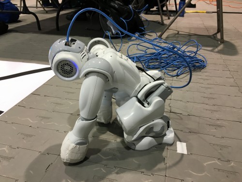 robot-crouch