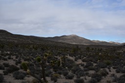 desert southwest