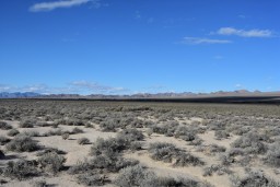 southwest_desert