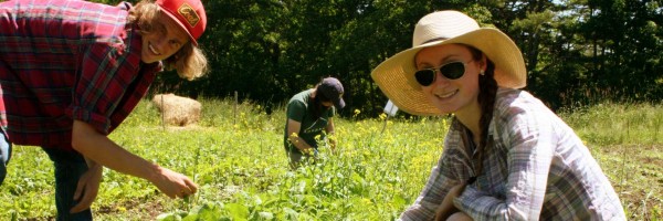 Young farmers at Wolfe’s Neck farm. Photo: Courtesy of Wolfe’s Neck Farm