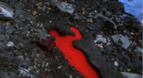 Film still from Ana Mendieta’s “Silueta Sangrienta” (1975)