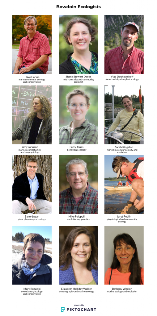 photo montage of bowdoin ecologists