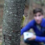 student in the field