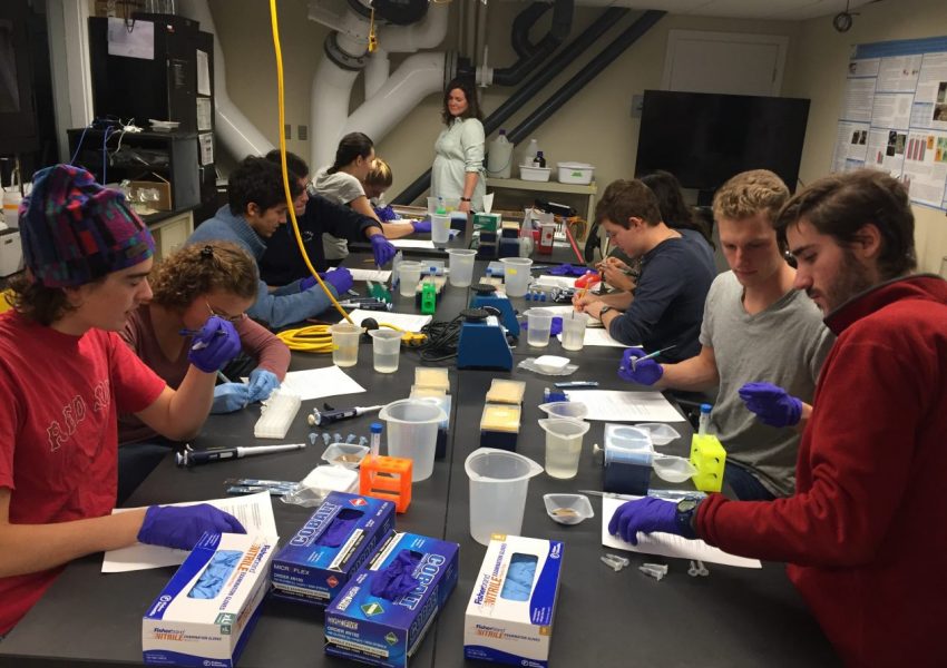 students working in lab