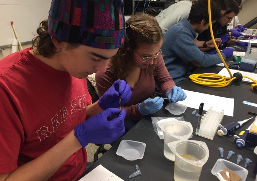 students working in lab