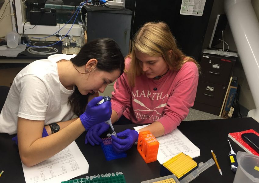 students working in lab