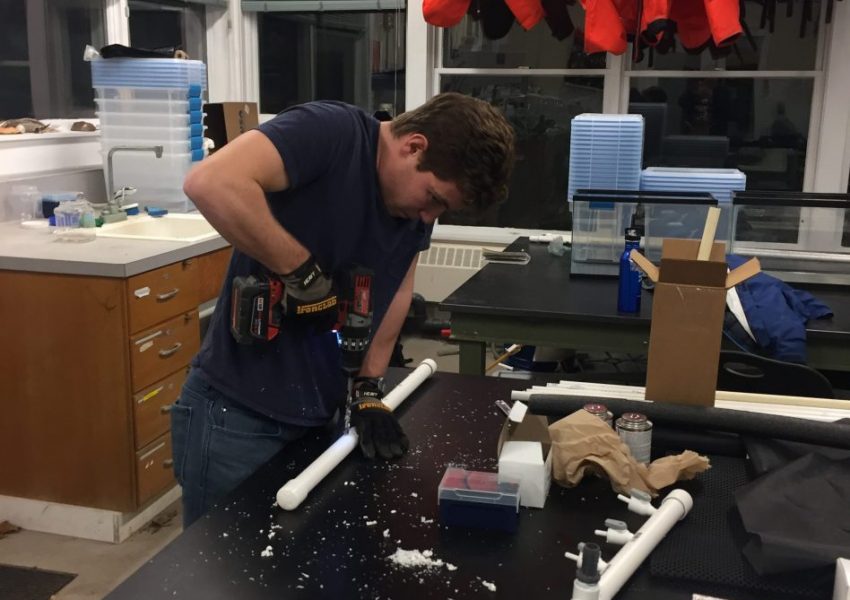 students working in lab