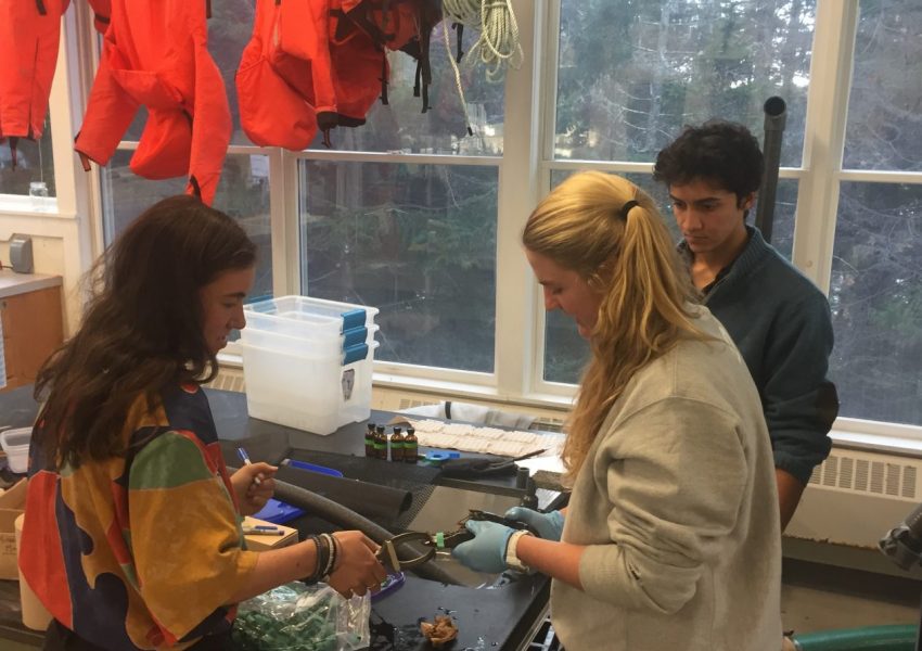 students working in lab