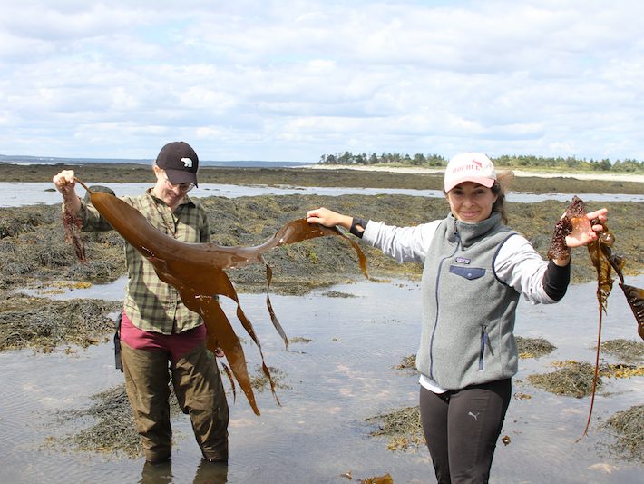 Marine Science Semester Studies Unique Kent Island Environment