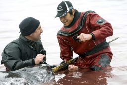 Dr. Martin Nweeia with Adrian Arnauyumayuq prepare to release a narwhal off Qaqqiat Point, Nunavut. Gretchen Freund, Narwhal Tusk Research.