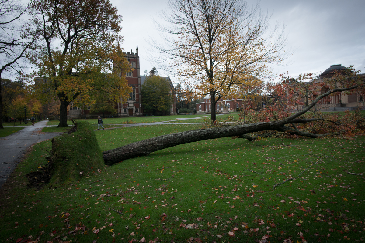 windstorm2017