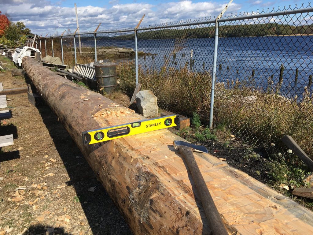 The Bowdoin pine being turned into a mast