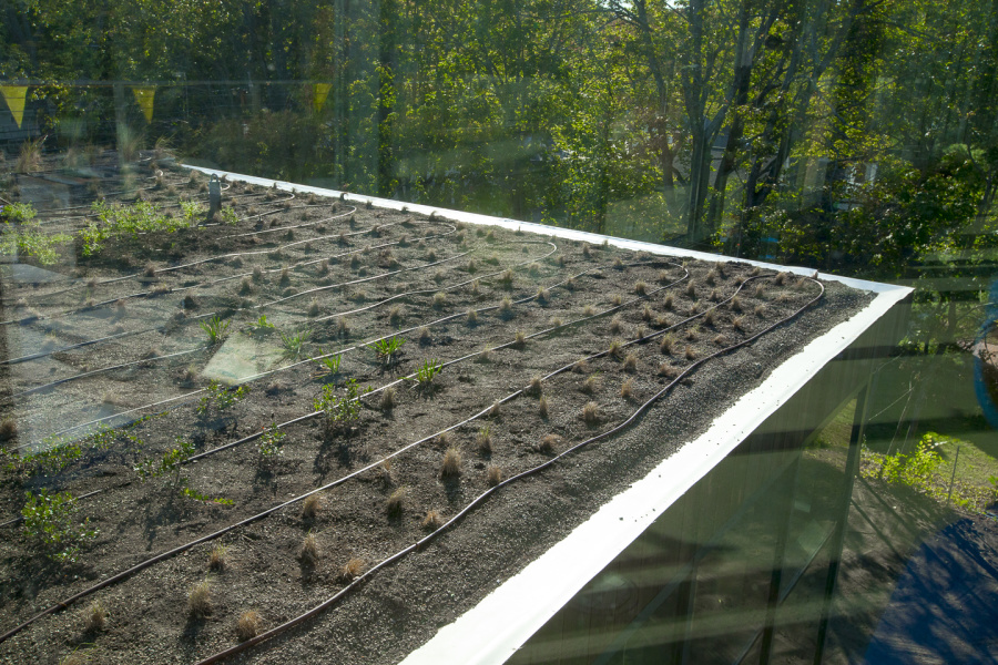 Roux Center for the Environment