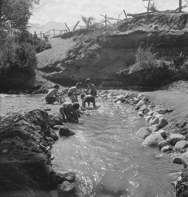 children in creek
