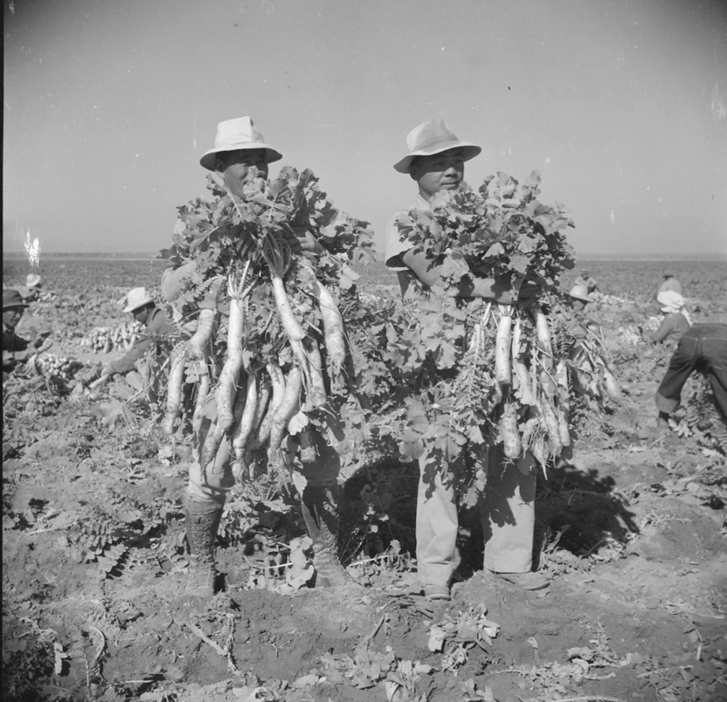 farm workers