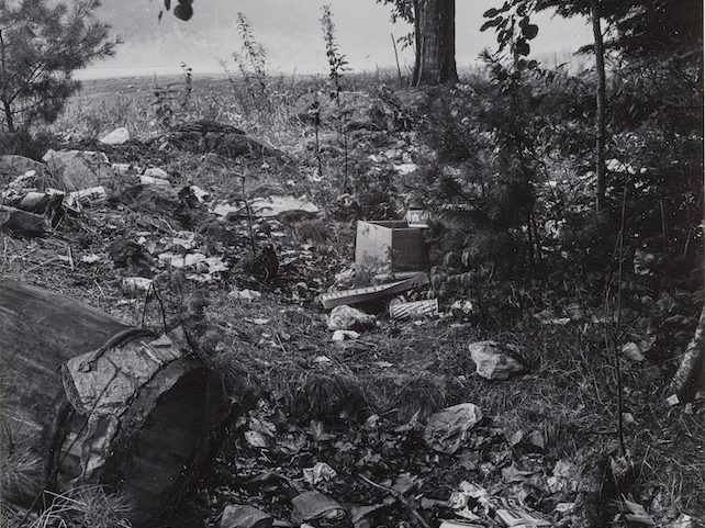 Along Route 90, Rockport. (Photo: John McKee, As Maine Goes, 1966)
