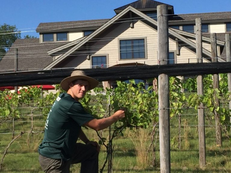 Steven Upton ’20 has a funded internship from Bowdoin this summer to work at a winery in New Hampshire