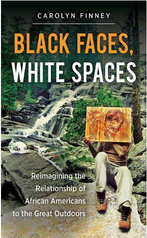 Black Faces, White Spaces book cover