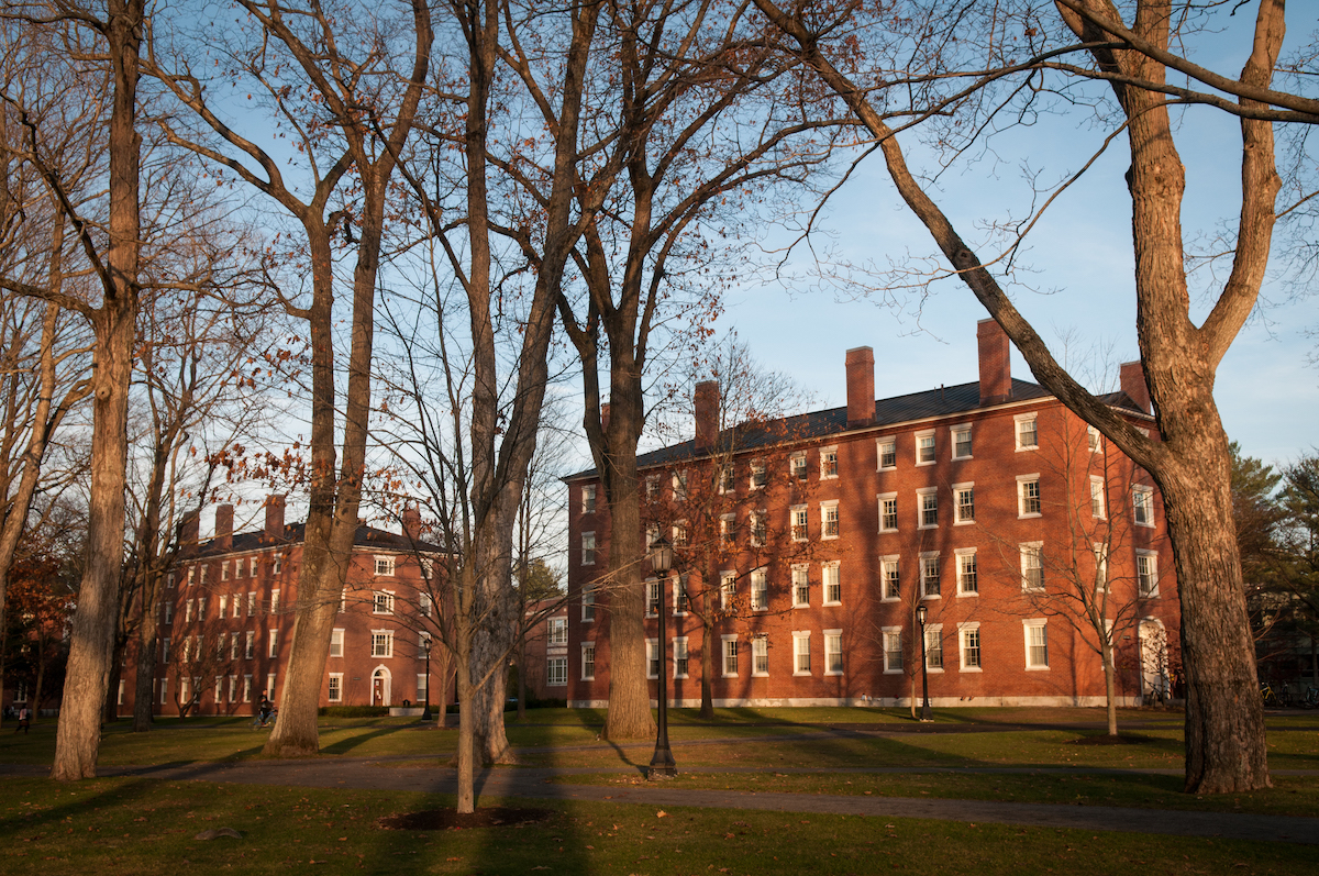 First-year Bricks