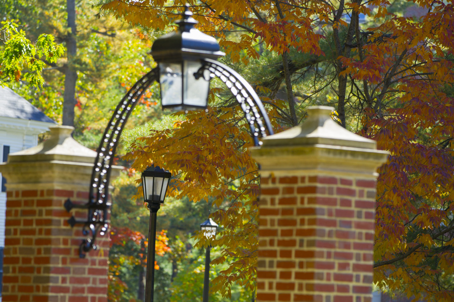 gate in fall
