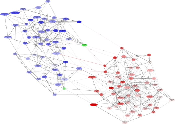 influence networks