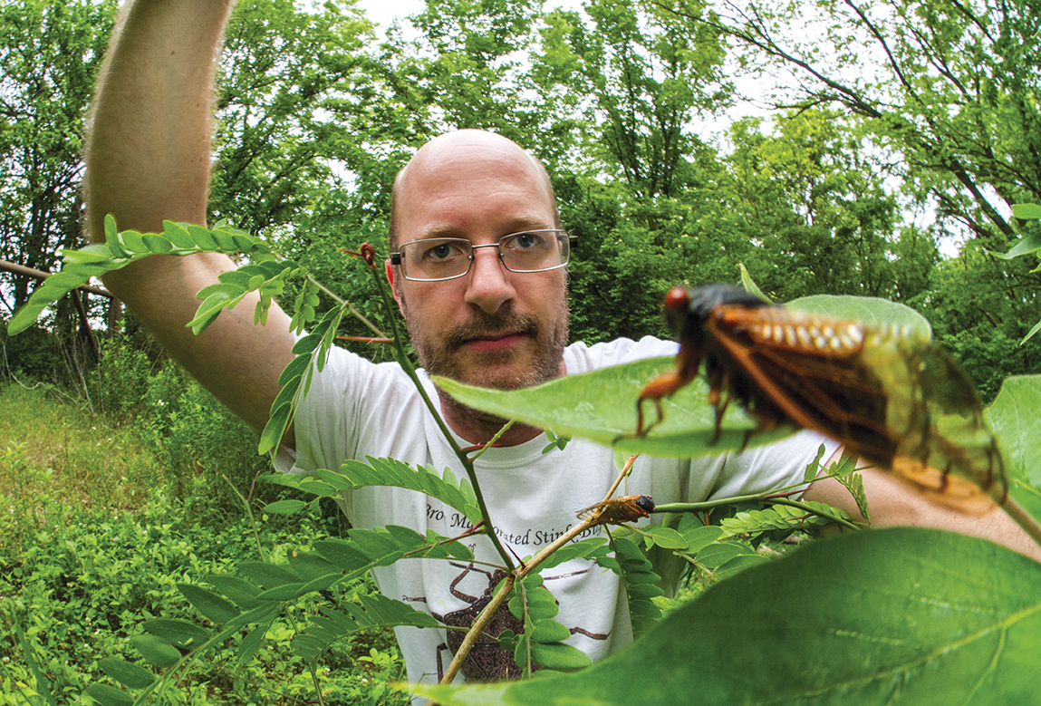 Alex Wild surrounded by trees in Panther Creek State Conservation looking at a Brood III periodical cicada standing on a leaf in front of him.