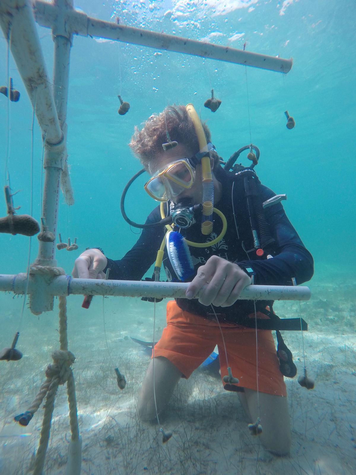 Nicholas Bower scuba diving