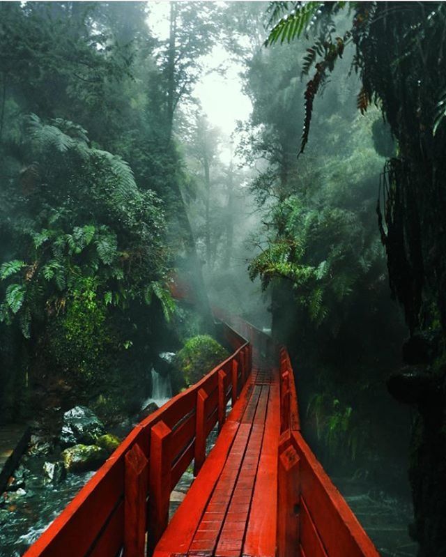 the hot springs of pucon