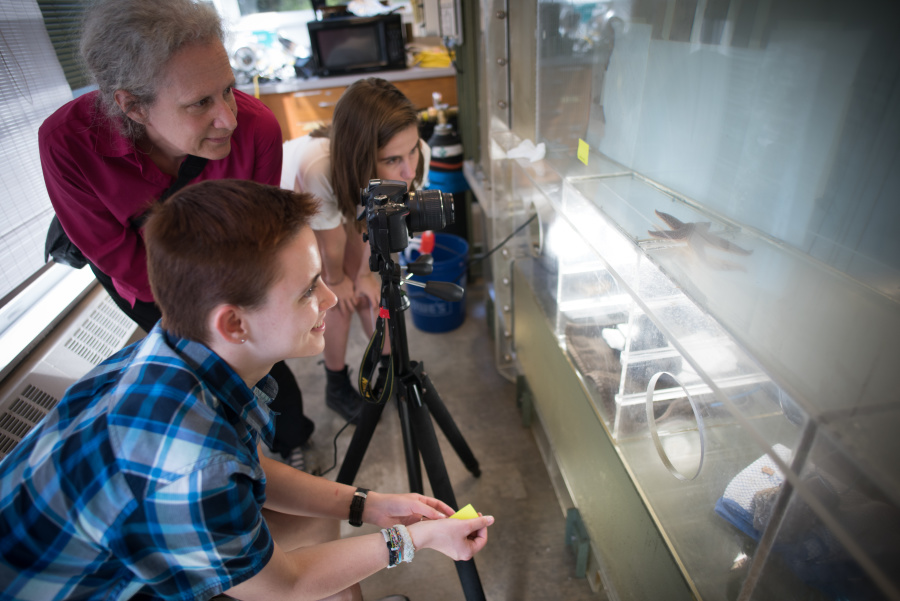 Amy Johnson with her students looks at starfish in a tank