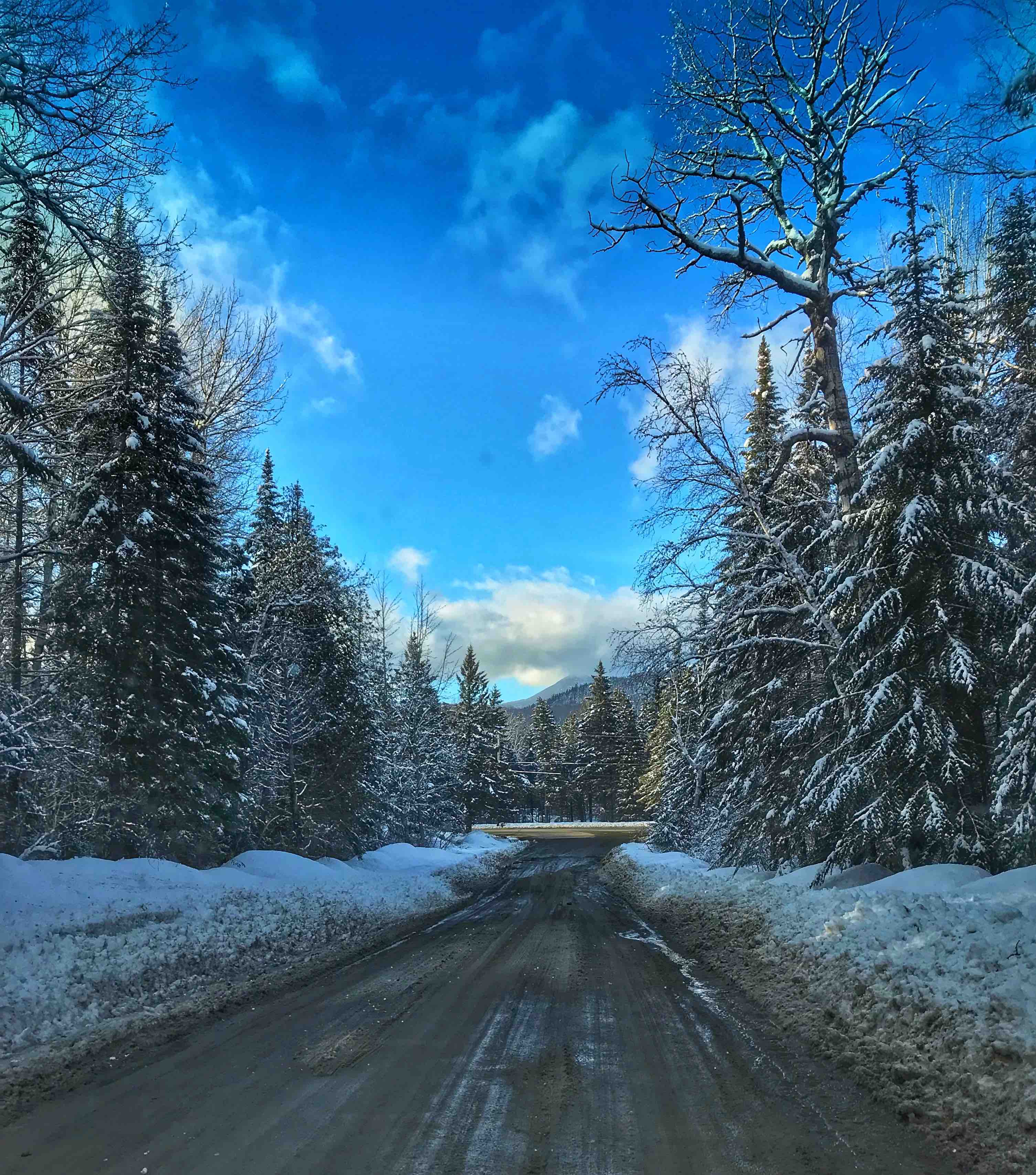 A snowy Maine back road