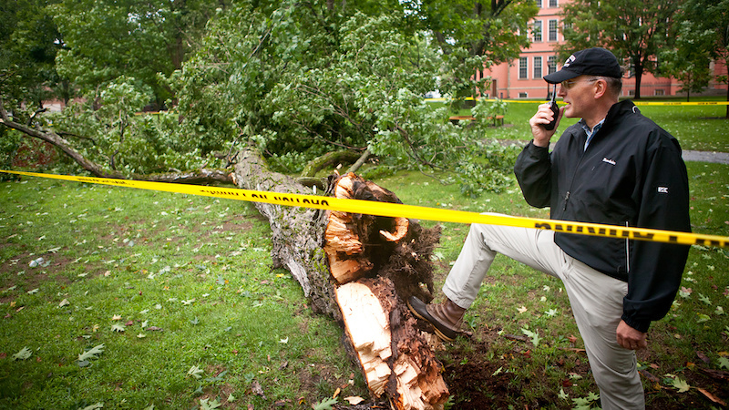 Randy Nichols next to a fallen tree