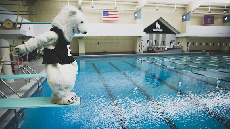 Bowdoin polar bear on diving board