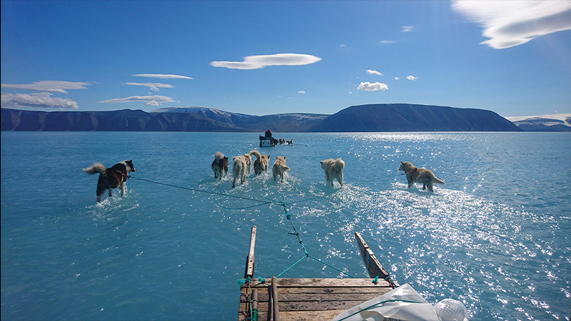 clement arctic poster