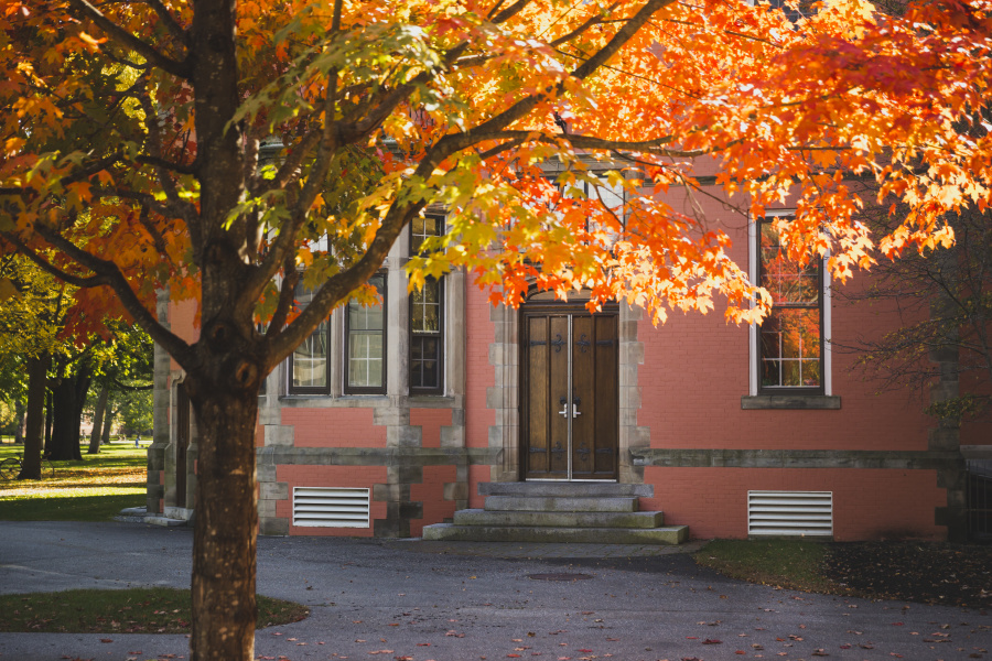 Fall on campus