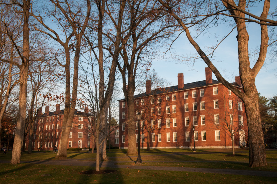 First-year bricks at dusk