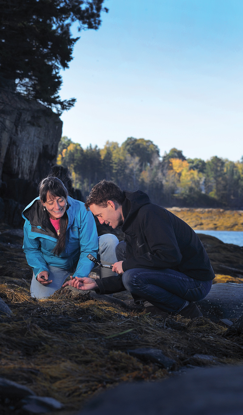 Lab instructor Bethany Whalon and professor Justin Baumann use a GoPro camera at the Schiller Coastal Studies Center to record footage for students in their Biology of Marine Organisms class who are studying with them online.