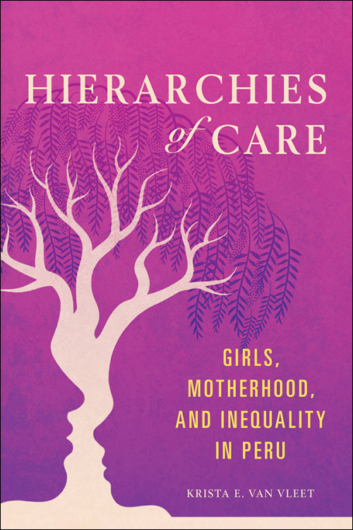Book cover of Hierarchies of Care 