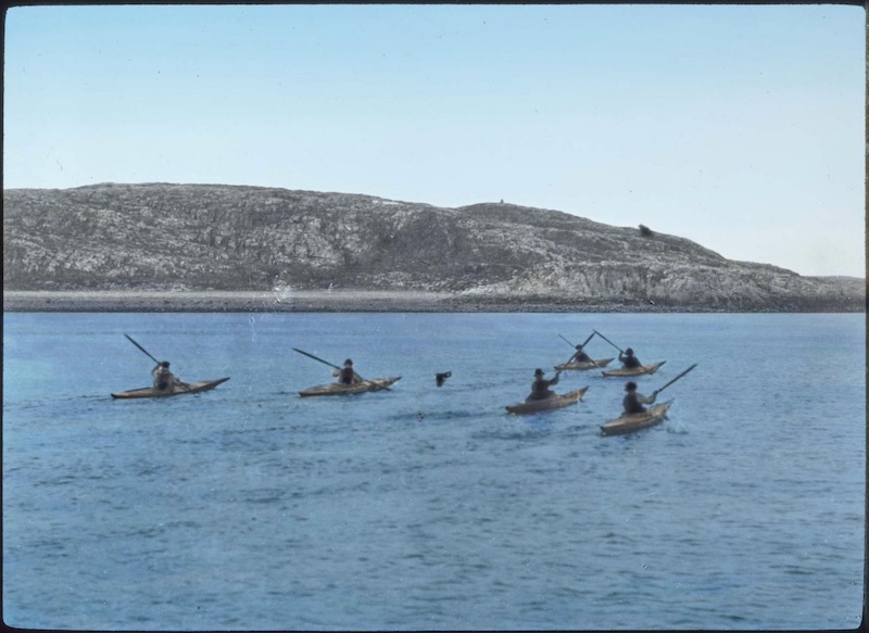 Kayaks Returning to Cobb Harbor 
