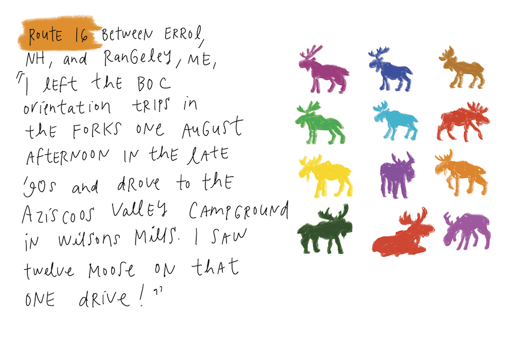 illustration of twelve moose