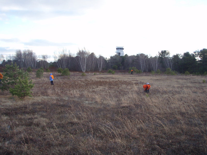 Students inspect the grasslands