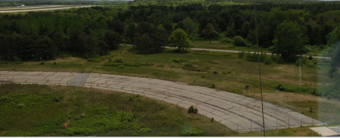 sandplain grasslands