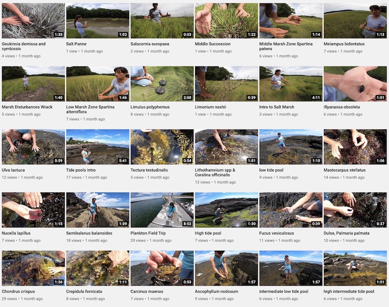 Screenshot of some of the videos from marine biology