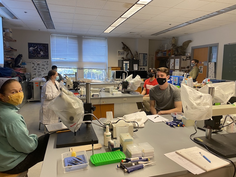 Lab session