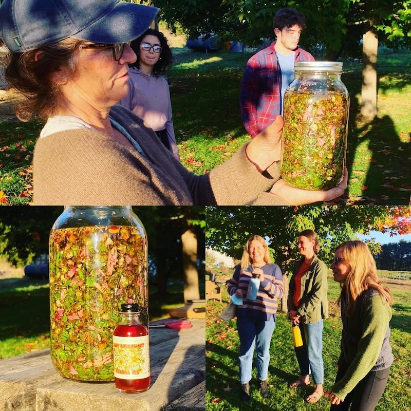 introduction to medicinal herbs course at Brunswick’s Milkweed Farm.