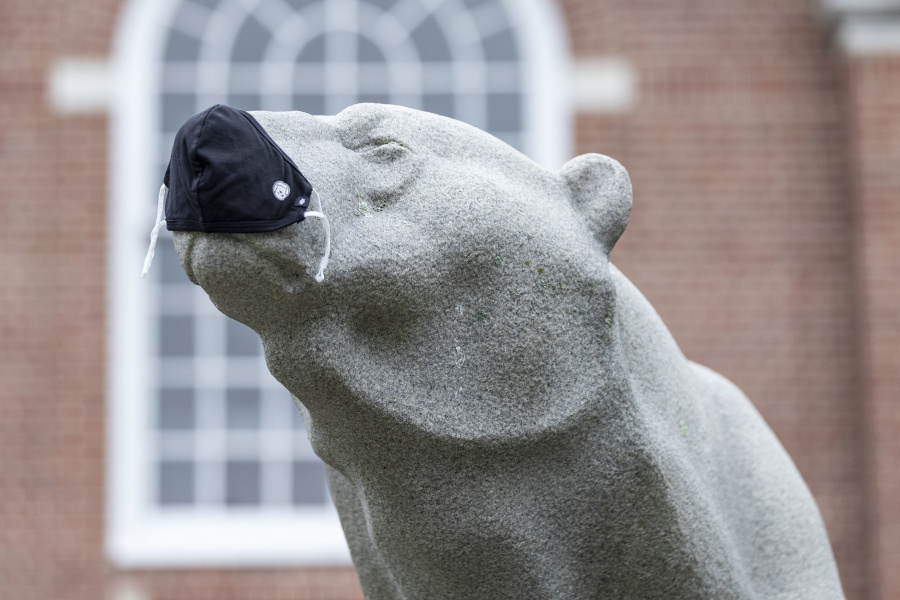 Polar bear mask