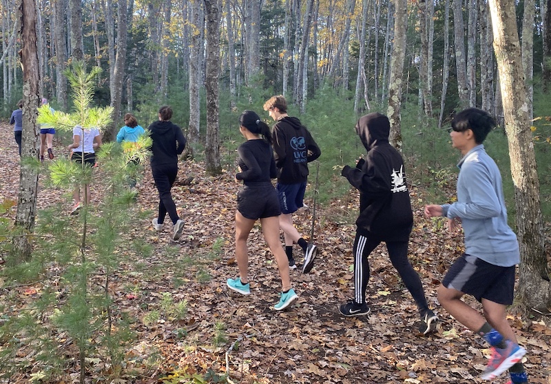 students running on a trail