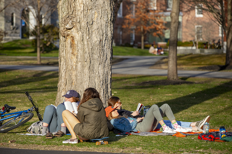 Several students lying around a tree on the main quad, reading and relaxing.