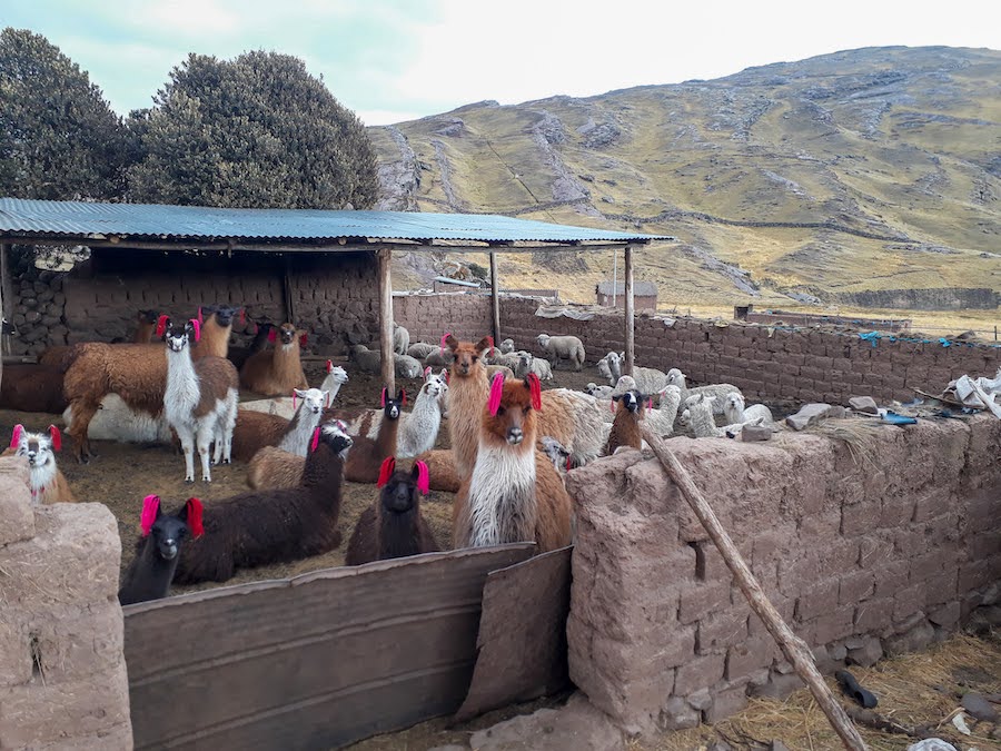The village of Phinay, Peru